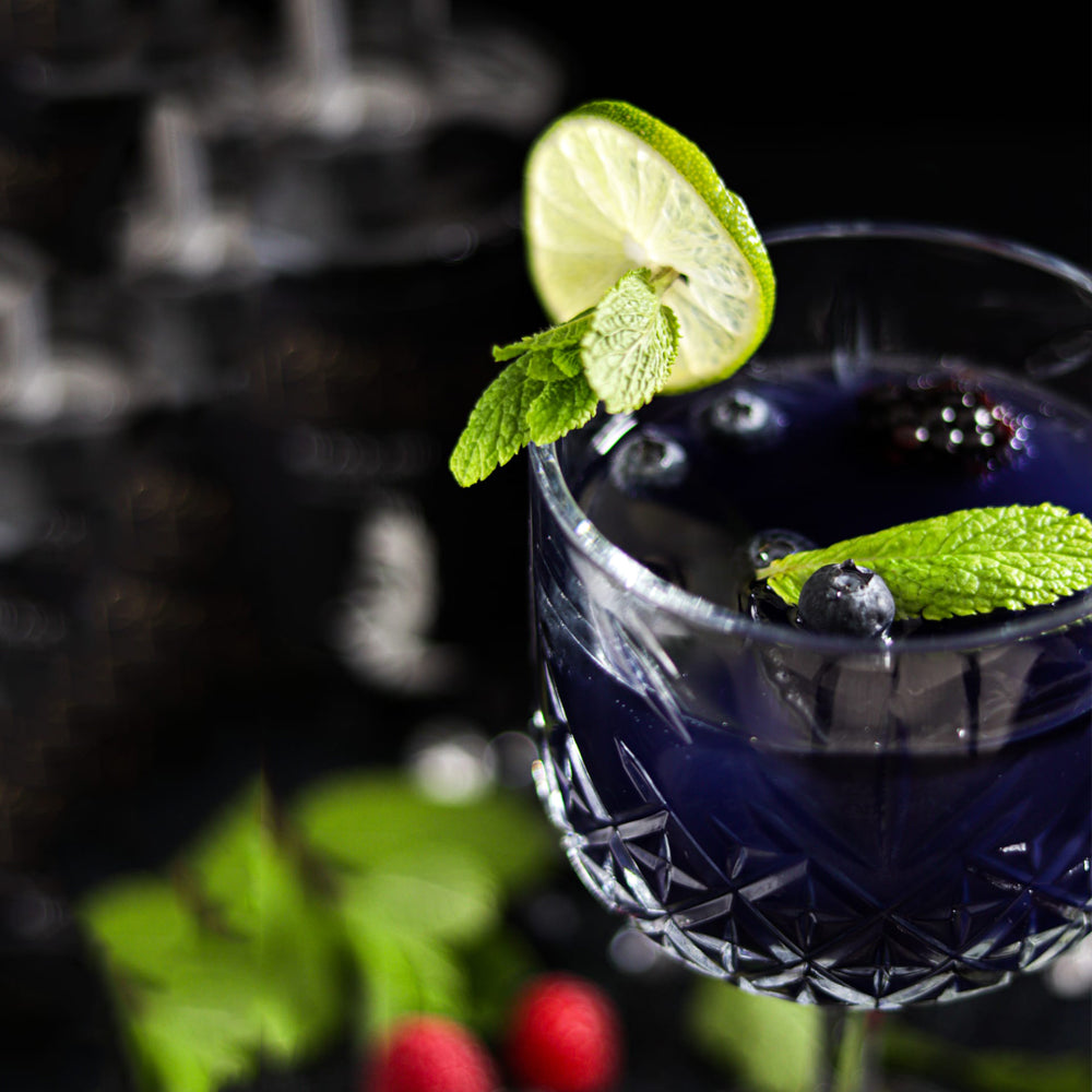 Black Gin Geschenkset mit Cocktail Shaker & Jigger